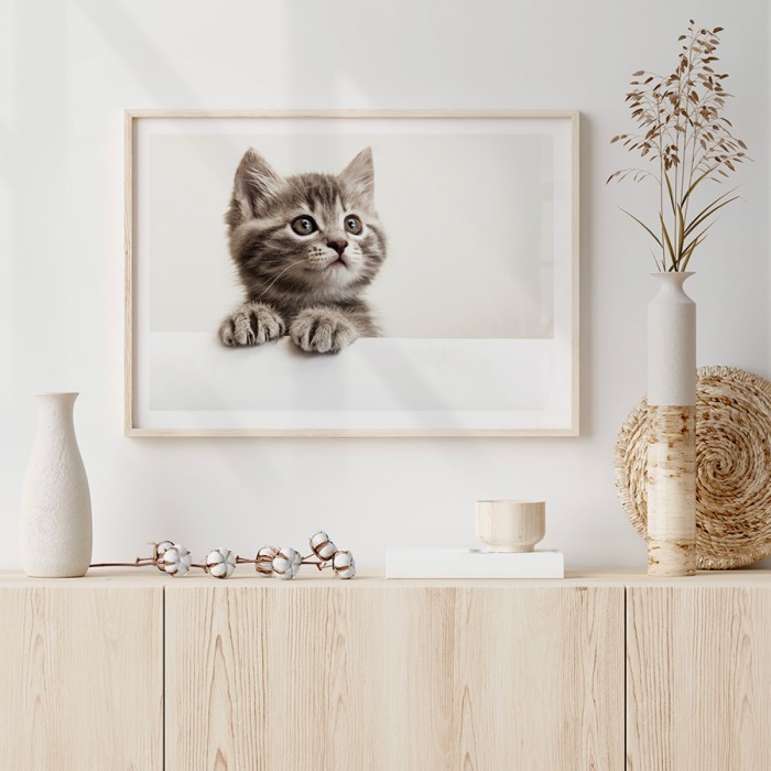 Αφίσα Poster Χαριτωμένο γατάκι για σαλόνι