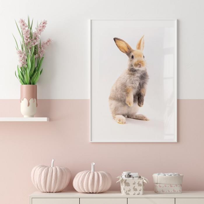 Αφίσα Poster Χαριτωμένο κουνελάκι με κορνίζα