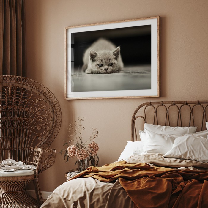 Αφίσα Poster Ναζιάρικο γατάκι για την κρεβατοκάμαρα