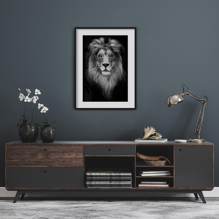 Αφίσα Poster Αρσενικό λιοντάρι με κορνίζα