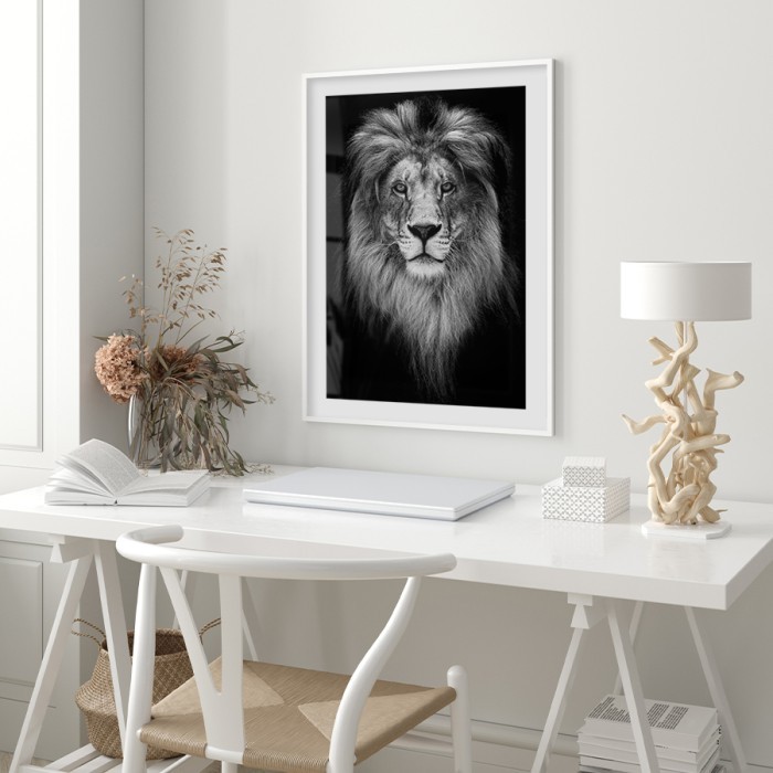 Αφίσα Poster Αρσενικό λιοντάρι για  γραφείο 