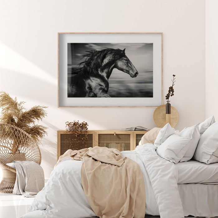 Αφίσα Poster Άλογο που καλπάζει για κρεβατοκάμαρα