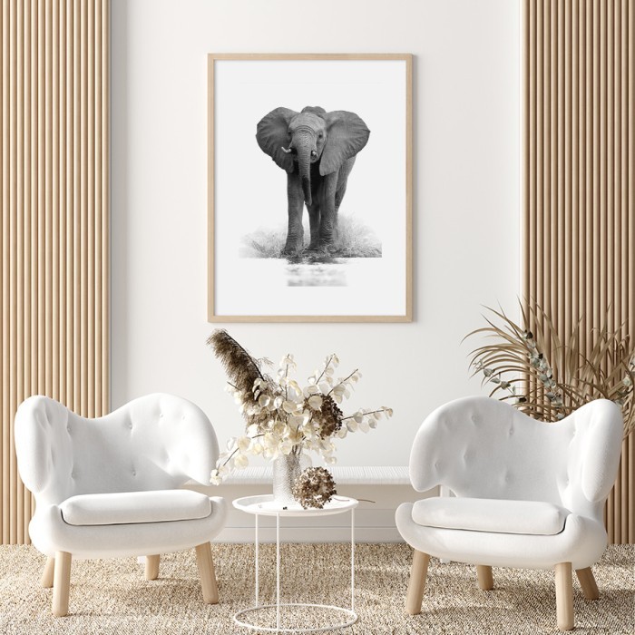 Αφίσα Poster Μικρός γκρι ελέφαντας για σαλόνι 