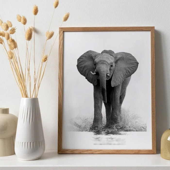 Αφίσα Poster Μικρός γκρι ελέφαντας με κορνίζα