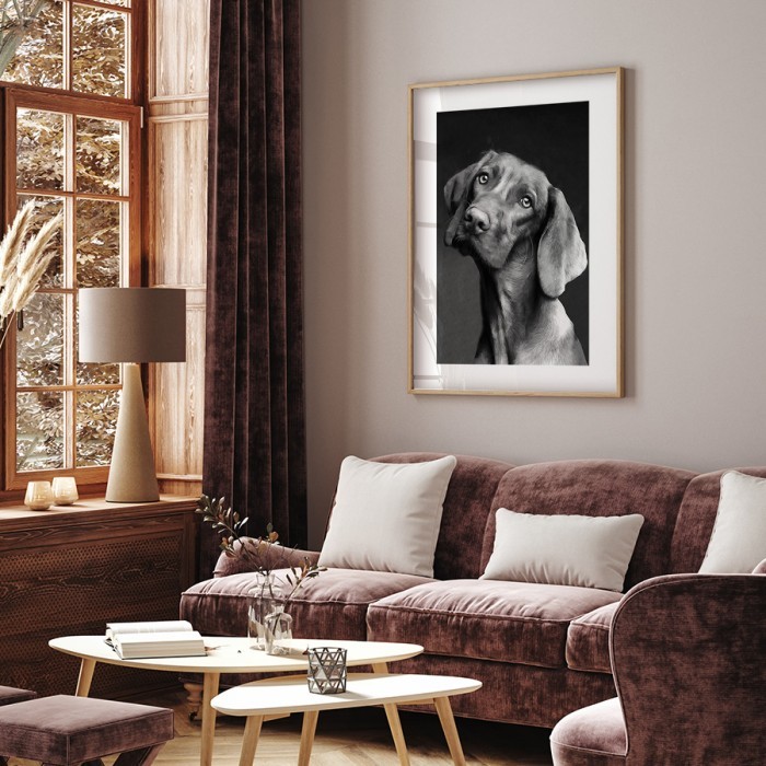 Αφίσα Poster Χαριτωμένος σκύλος για σαλόνι 