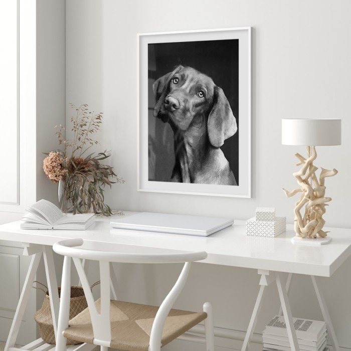 Αφίσα Poster Χαριτωμένος σκύλος με κορνίζα
