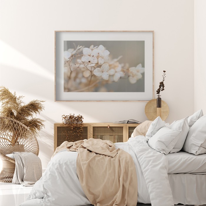 Αφίσα Poster Λευκά άνθη ορτανσίας για κρεβατοκάμαρα
