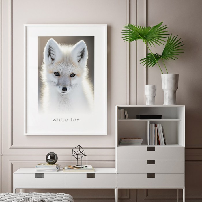 Αφίσα Poster White fox με κορνίζα