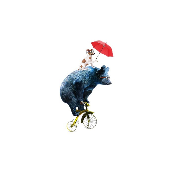 Αυτοκόλλητα τοίχου παιδικά Αρκούδος και σκύλος κάνουν ποδήλατο
