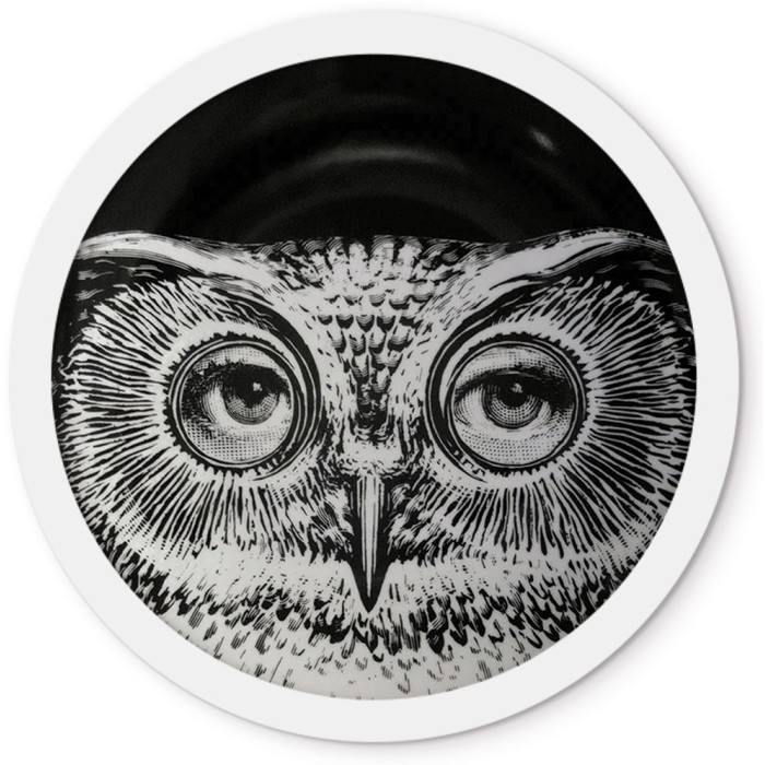 Στρογγυλή Κορνίζα Τοίχου Άσπρη Owl
