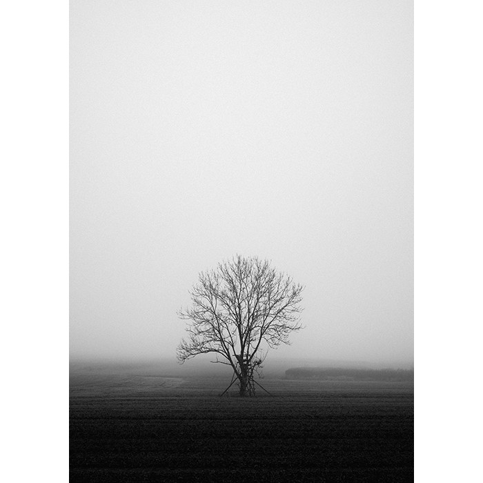 Πίνακας Etalbond Black n' White - Melancholy