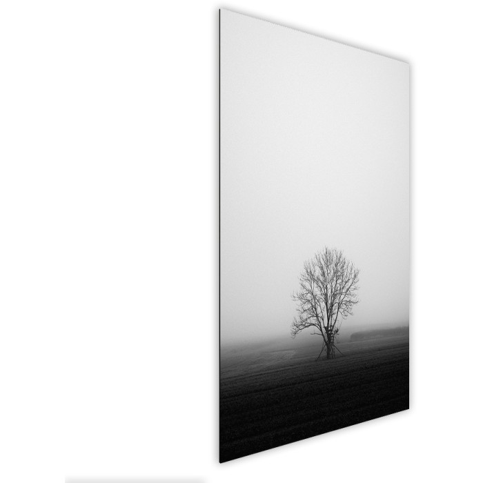 Πίνακας Etalbond Black n' White Πλάι - Melancholy Πίνακας Etalbond Black n' White Πλάι - Melancholy
