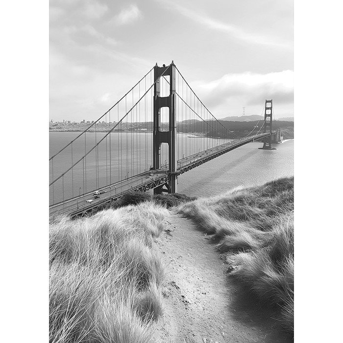 Πίνακας Etalbond Black n' White - Road To Bridge