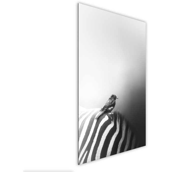 Πίνακας Etalbond Black n' White Πλάι - Bird On Zebra Πίνακας Etalbond Black n' White Πλάι - Bird On Zebra