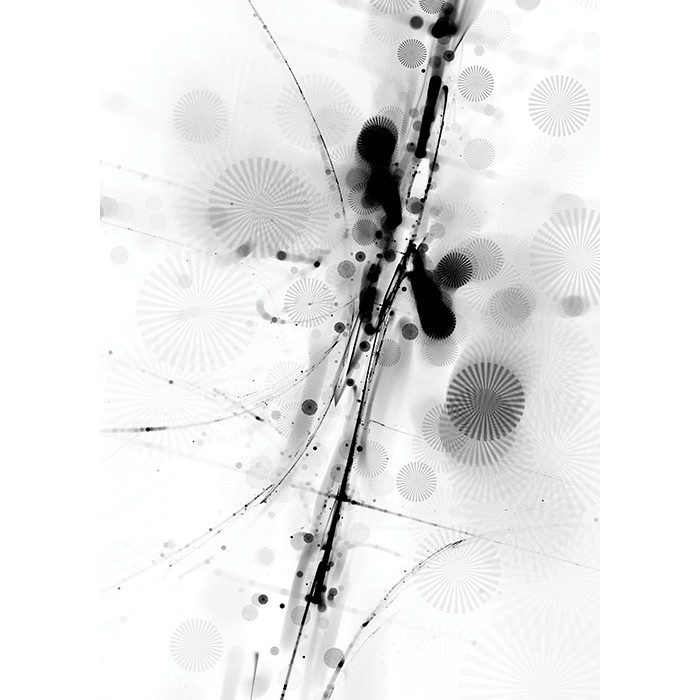Πίνακας Etalbond Black n' White - Gloomy