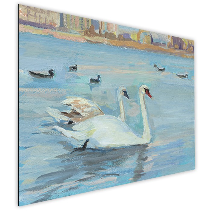 Πίνακας Etalbond Ζωγραφικής πλάι – Swans in Lake Πίνακας Etalbond Ζωγραφικής πλάι – Swans in Lake