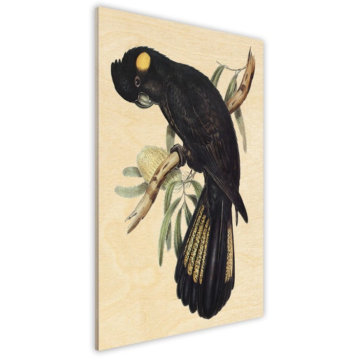Πίνακας Κόντρα Πλακέ Vintage πλάι - Black Parrot Πίνακας Κόντρα Πλακέ Vintage πλάι - Black Parrot