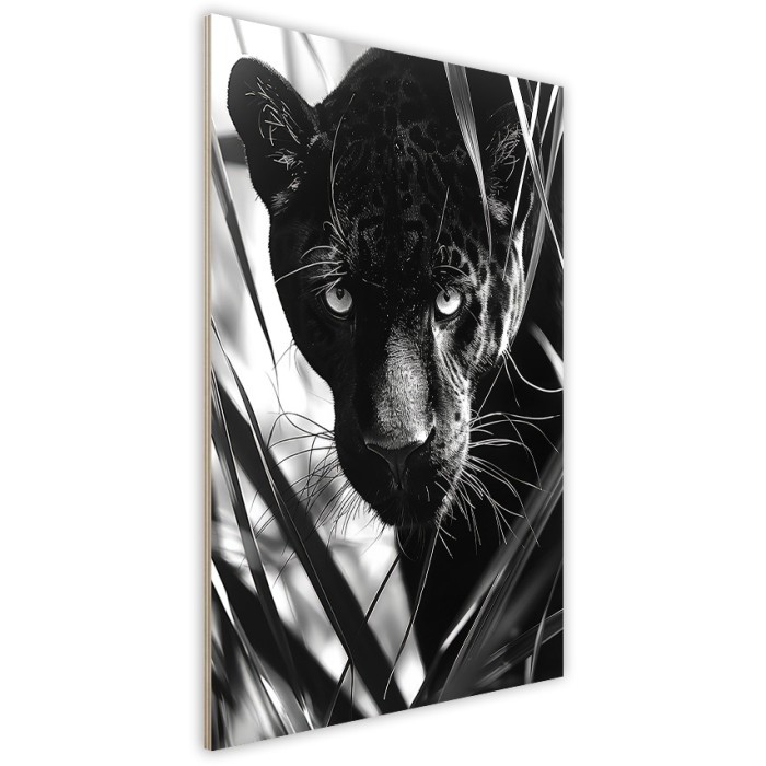 Πίνακας Κόντρα Πλακέ Black n' White πλάι - Leopard Πίνακας Κόντρα Πλακέ Black n' White πλάι - Leopard