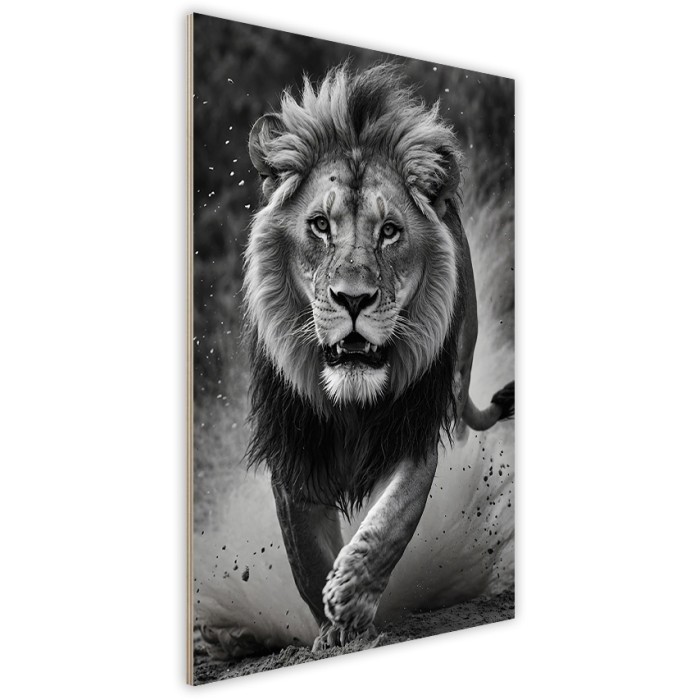 Πίνακας Κόντρα Πλακέ Black n' White πλάι - King of Jungle Πίνακας Κόντρα Πλακέ Black n' White πλάι - King of Jungle