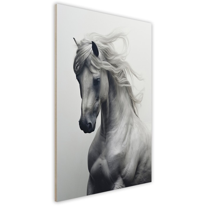 Πίνακας Κόντρα Πλακέ Black n' White πλάι - Grey Horse