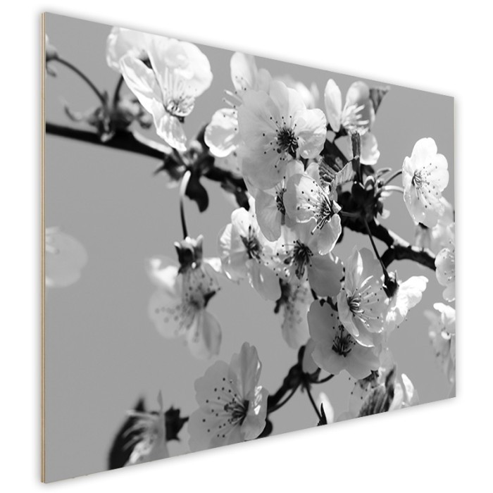Πίνακας Κόντρα Πλακέ Black n' White πλάι - Almond Blossoms Πίνακας Κόντρα Πλακέ Black n' White πλάι - Almond Blossoms