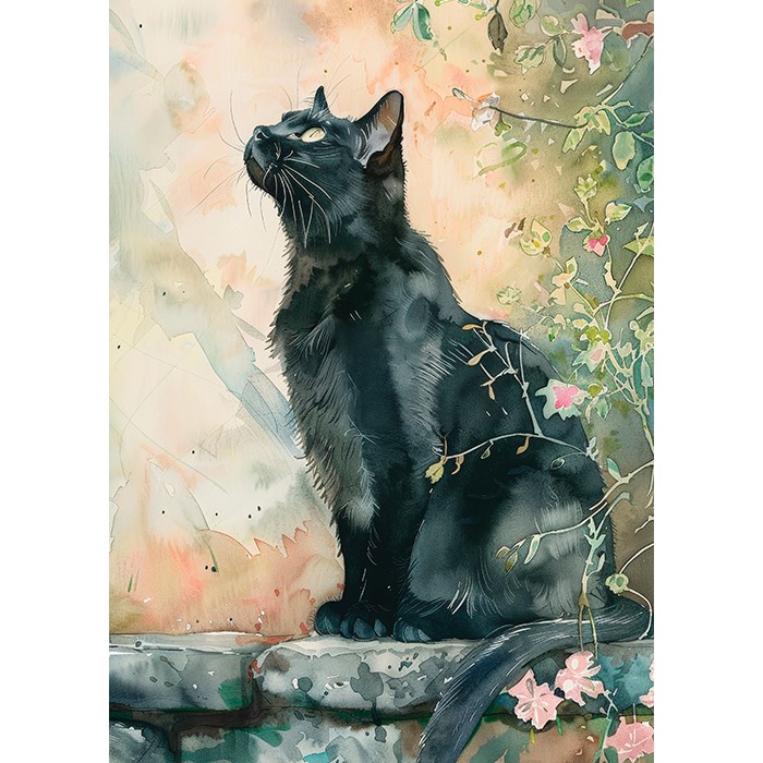 Πίνακας σε Plexiglass Ζωγραφική - Black Cat