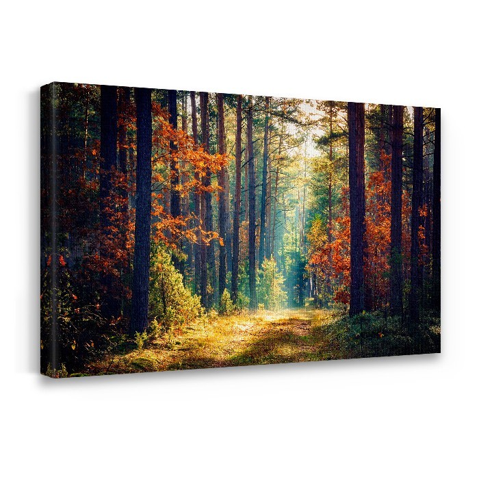 Πίνακας σε καμβά με τελάρο με ακτίνα φωτός σε δάσος