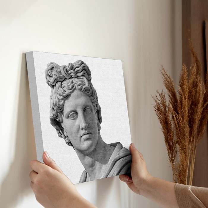 Πίνακας σε καμβά διακόσμηση τοίχου – Άγαλμα του Απόλλωνα