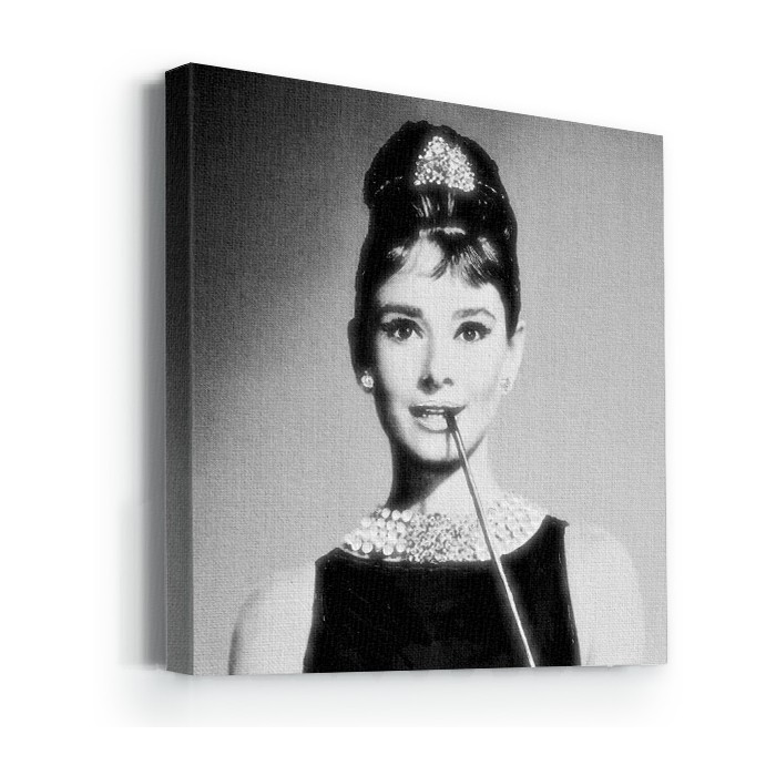 Πίνακας σε καμβά με τελάρο – Audrey Hepburn