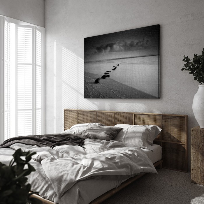 Πίνακας σε καμβά για το υπνοδωμάτιο – Φύκια στην παραλία
