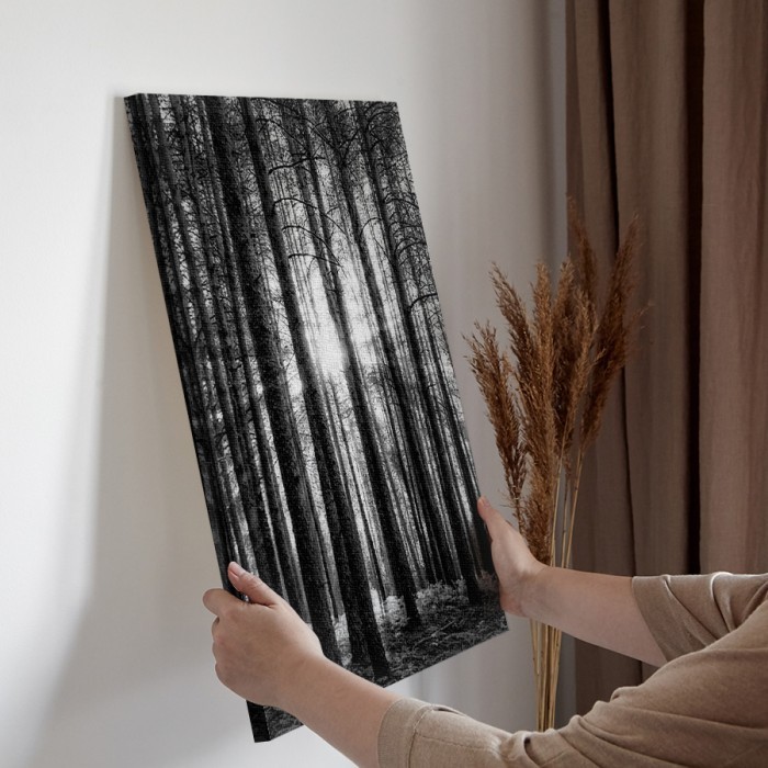 Πίνακας σε καμβά διακόσμηση τοίχου – Δάσος με ψηλά δέντρα