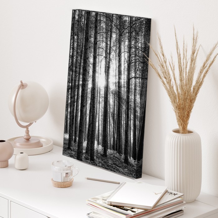 Πίνακας σε καμβά για το δωμάτιο – Δάσος με ψηλά δέντρα