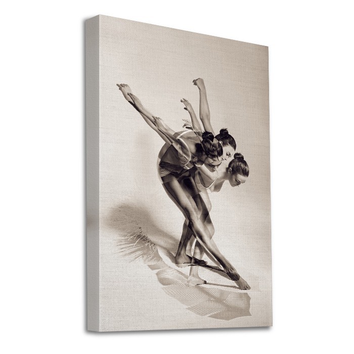 Πίνακας σε καμβά με τελάρο – Γυναίκα που χορεύει