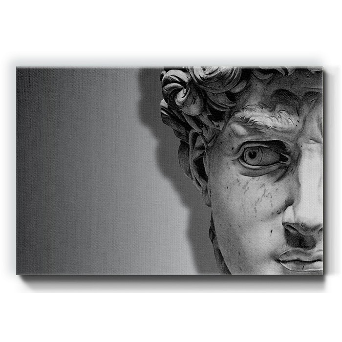 Πίνακας σε καμβά – Πρόσωπο αρχαίου αγάλματος άντρα