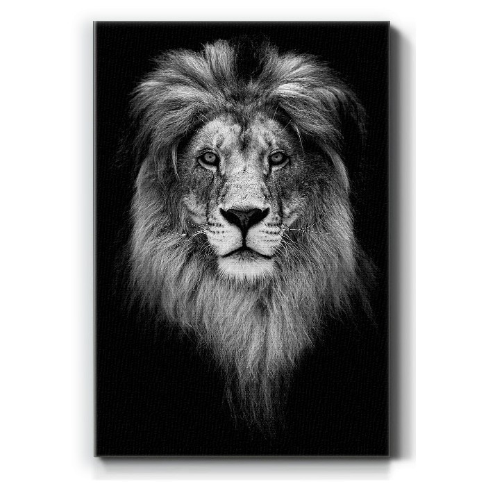 Πίνακας σε καμβά – Πορτρέτο λιονταριού