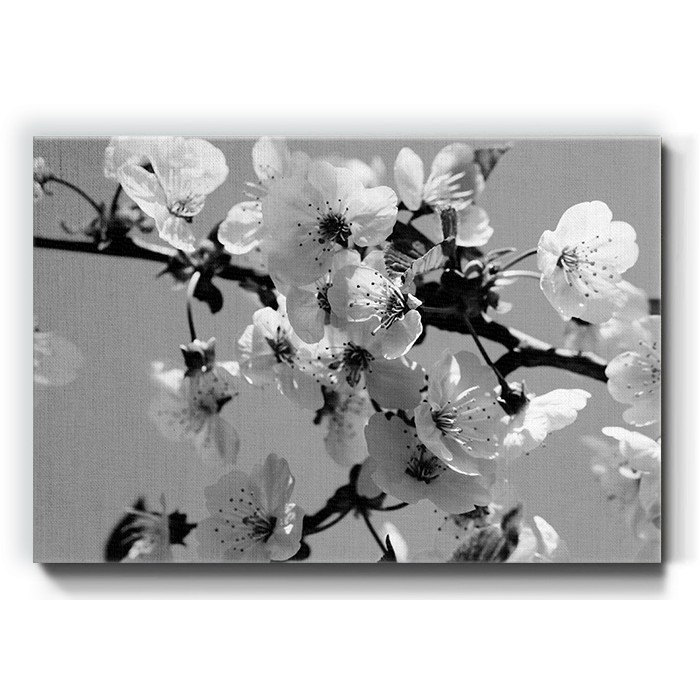 Πίνακας σε καμβά – Δέντρο με λευκά άνθη
