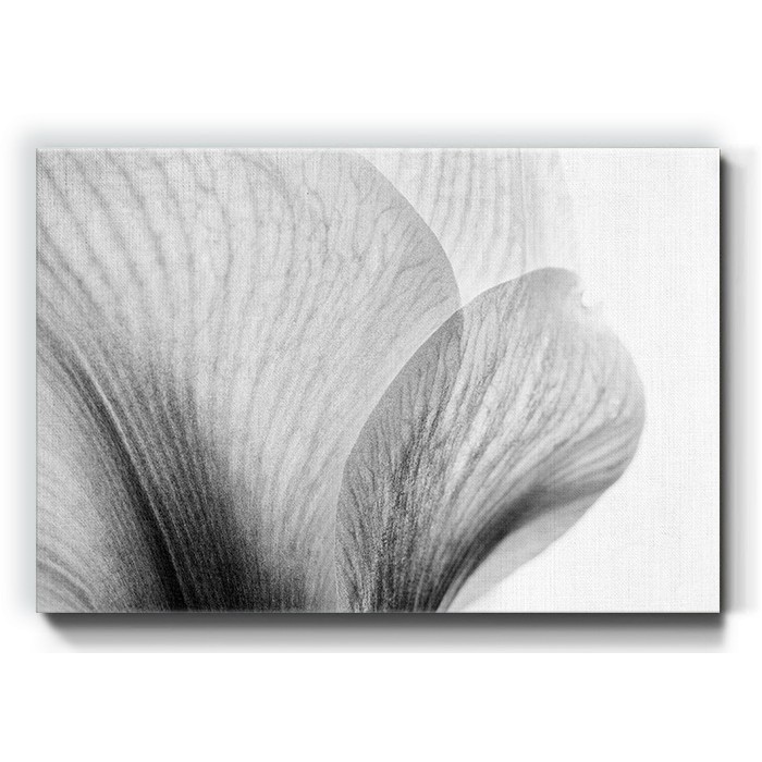 Πίνακας σε καμβά – Κοντινή λήψη φύλλων λουλουδιού