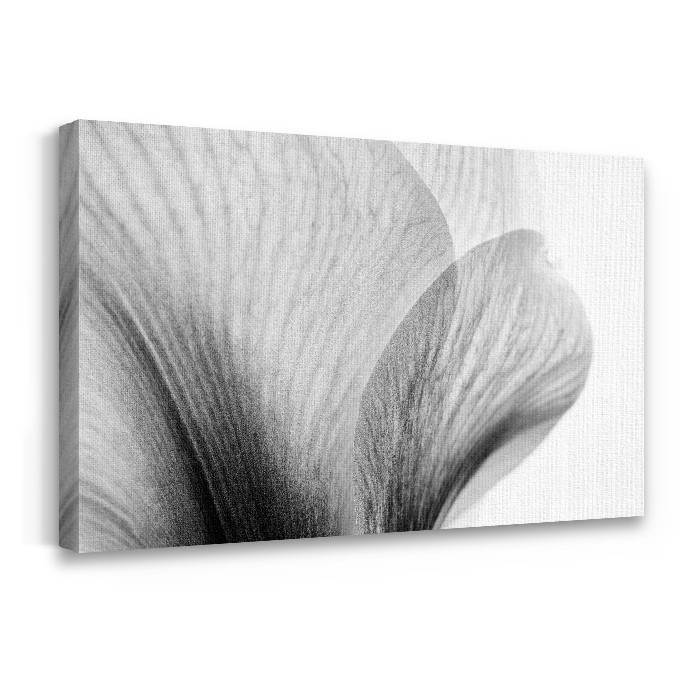 Πίνακας σε καμβά με τελάρο – Κοντινή λήψη φύλλων λουλουδιού