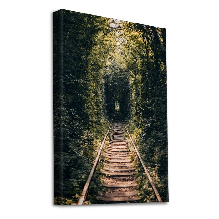 Πίνακας σε καμβά με τελάρο με Γραμμές τρένου στο δάσος