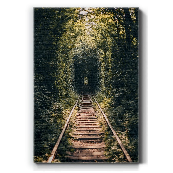 Πίνακας σε καμβά με Γραμμές τρένου στο δάσος
