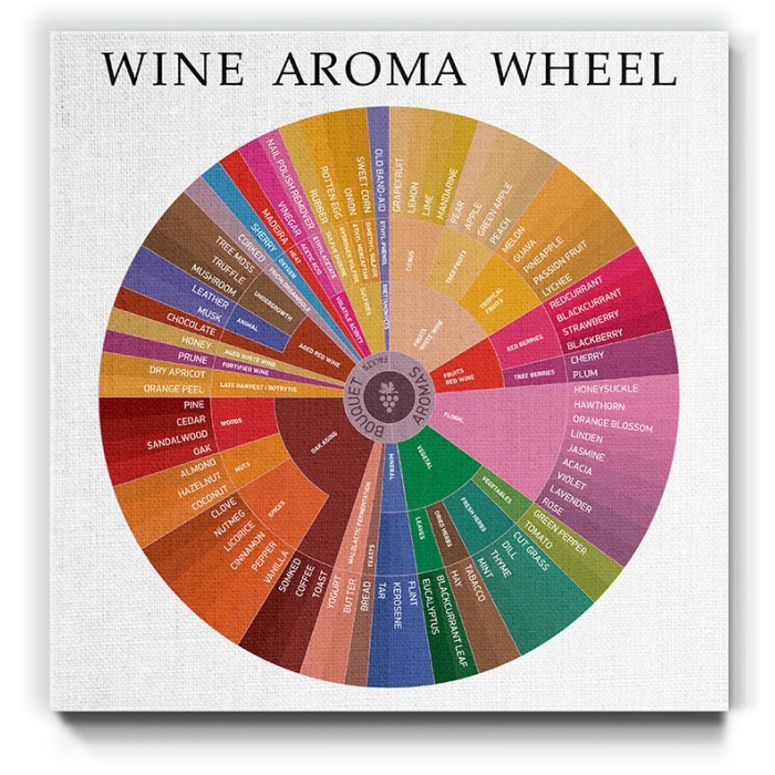Wine aroma wheel σε Πίνακα σε καμβά