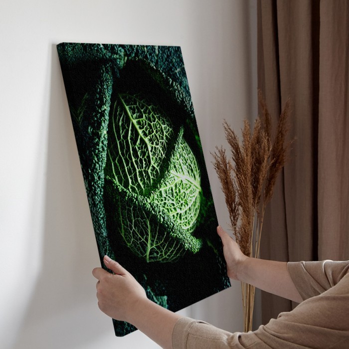 Λάχανο Σαβοΐας σε Πίνακα σε καμβά για την διακόσμηση τοίχου