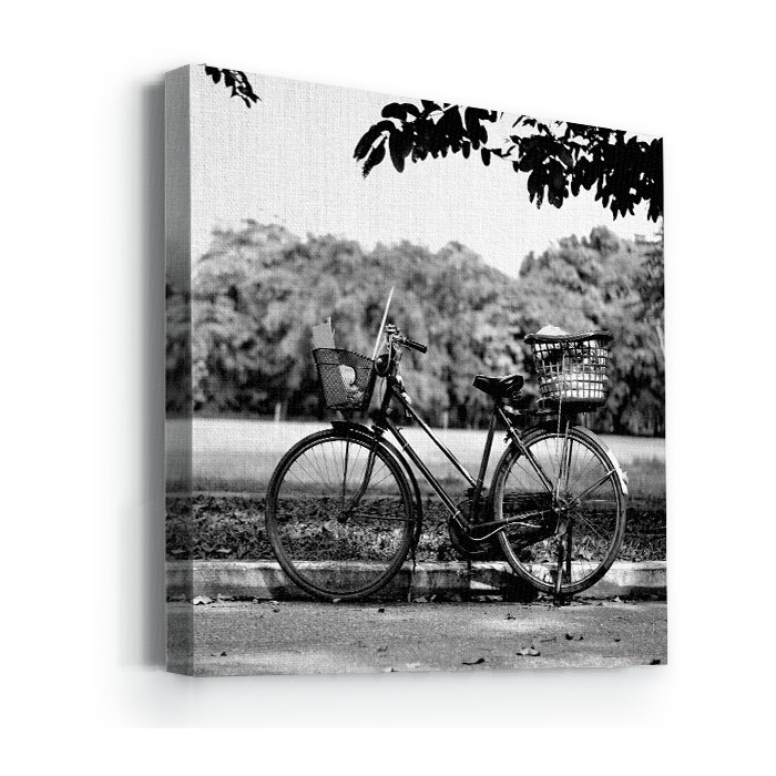 Πίνακας σε καμβά με τελάρο με Ποδήλατο στο πάρκο