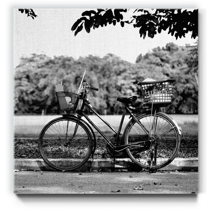 Πίνακας σε καμβά με Ποδήλατο στο πάρκο