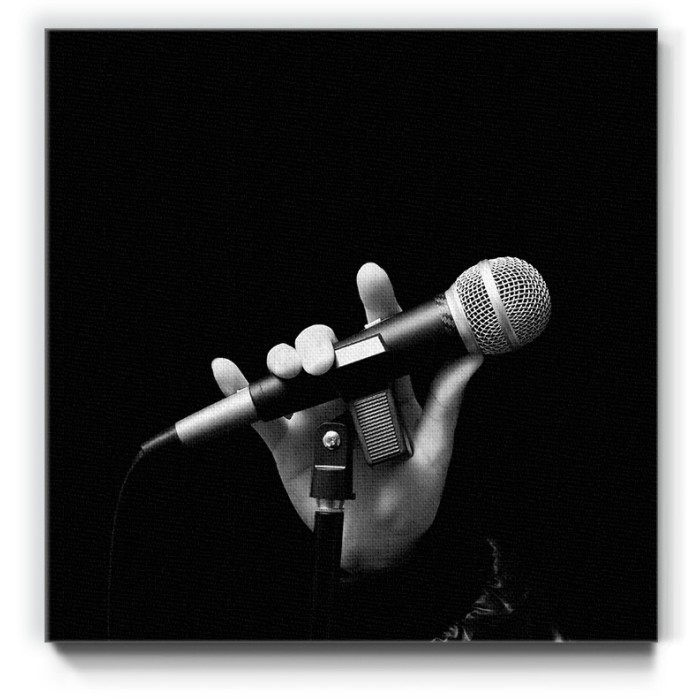 Τραγουδιστής και μικρόφωνο σε Πίνακα σε καμβά 