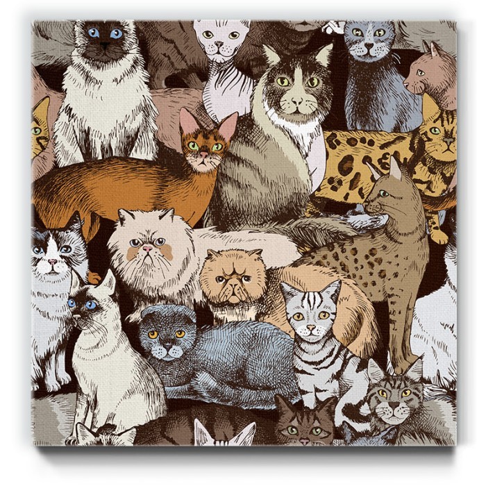 Πολύχρωμες γάτες σε Πίνακα σε καμβά 