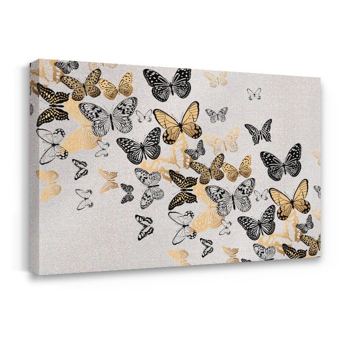 Πίνακας σε καμβά με τελάρο – Les Papillons