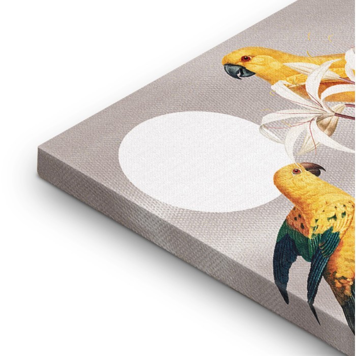 Έτοιμοι πίνακες με τελάρο και κορνίζα – Yellow Parrots