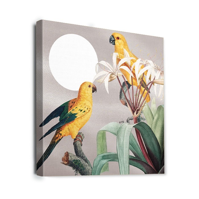 Πίνακας σε καμβά με τελάρο – Yellow Parrots