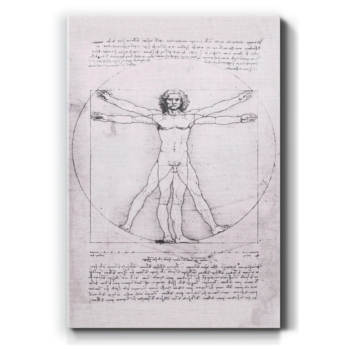 Πίνακας σε καμβά – Vitruvian Man